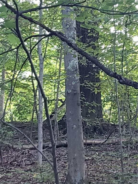 0 Jamison Road Indiana, PA 15701 - Photo 2 of 6