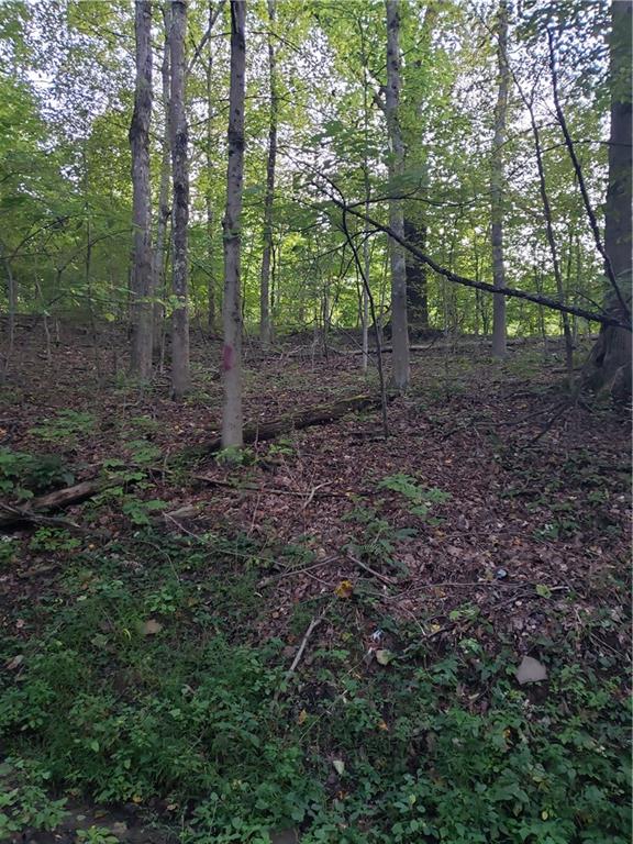 0 Jamison Road Indiana, PA 15701 - Photo 3 of 6