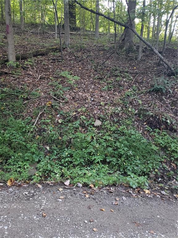 0 Jamison Road Indiana, PA 15701 - Photo 6 of 6