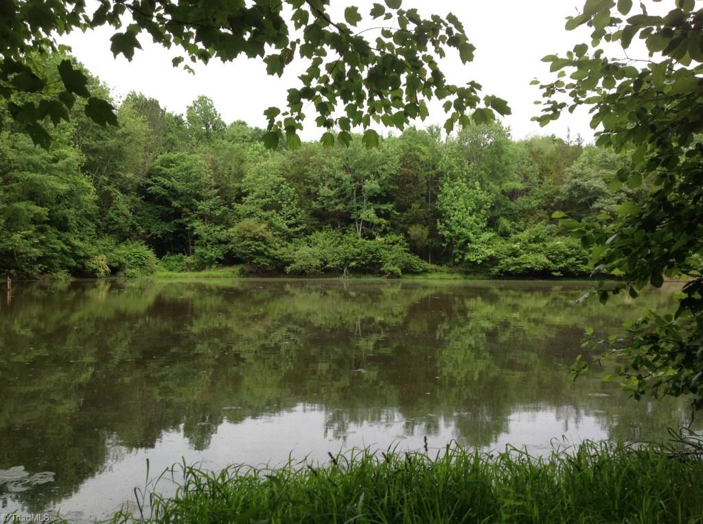 13-acres Madison Road Mocksville, NC 27028 - Photo 14 of 25 Gallery Image 14