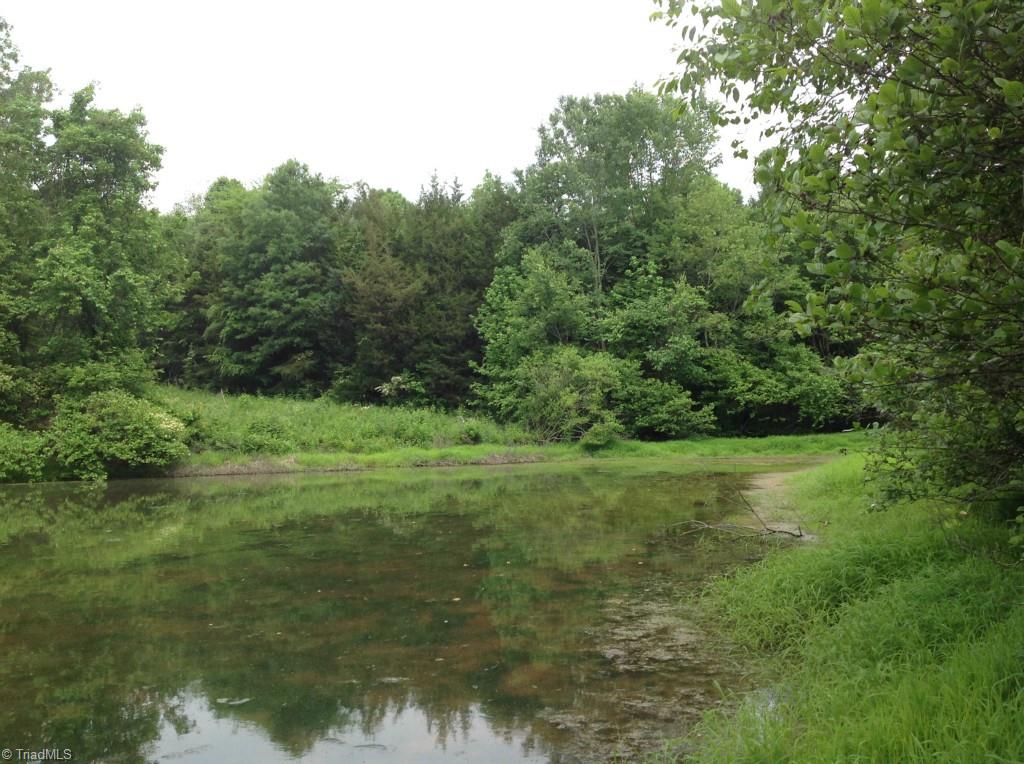 13-acres Madison Road Mocksville, NC 27028 - Photo 15 of 25 Gallery Image 15