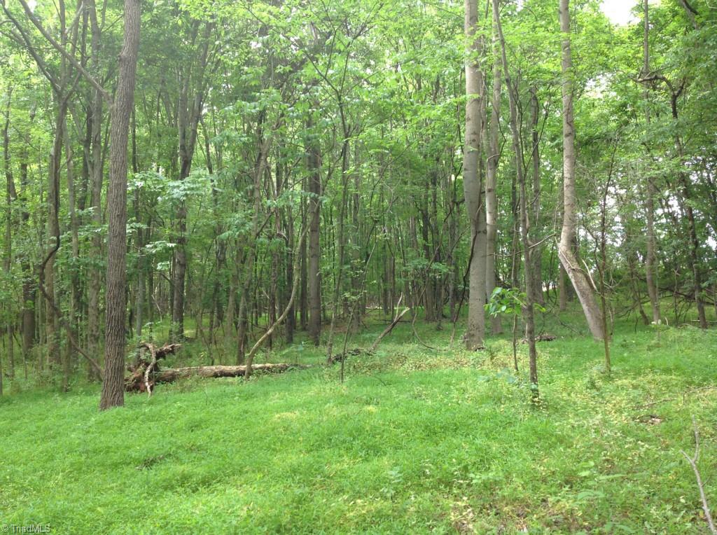 13-acres Madison Road Mocksville, NC 27028 - Photo 19 of 25 Another area of gentle slopes.