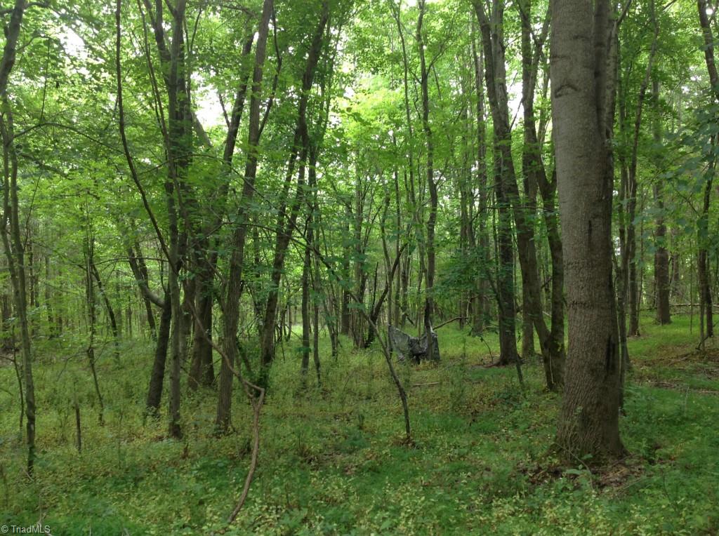 13-acres Madison Road Mocksville, NC 27028 - Photo 22 of 25 Western side of the lake... a camouflaged deer hunting hide out all ready for deer season!