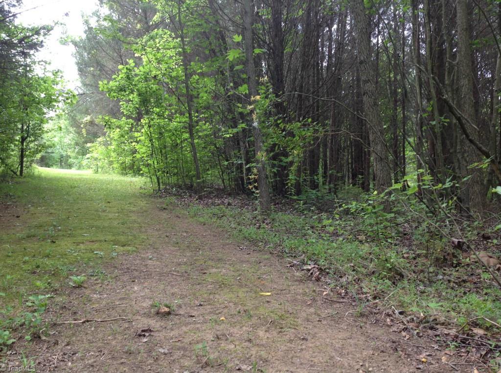 13-acres Madison Road Mocksville, NC 27028 - Photo 8 of 25 A path at the Western end of the lake heading off toward Madison Road.