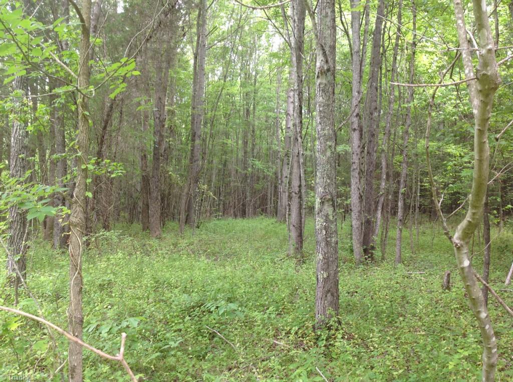13-acres Madison Road Mocksville, NC 27028 - Photo 10 of 25 Several level to gently sloping areas to consider for home sites.