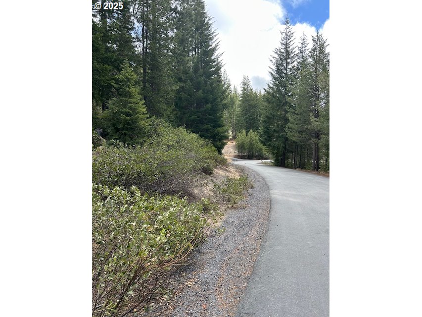 4 Royce Pine Road Crescent Lake, OR 97733 - Photo 11 of 12