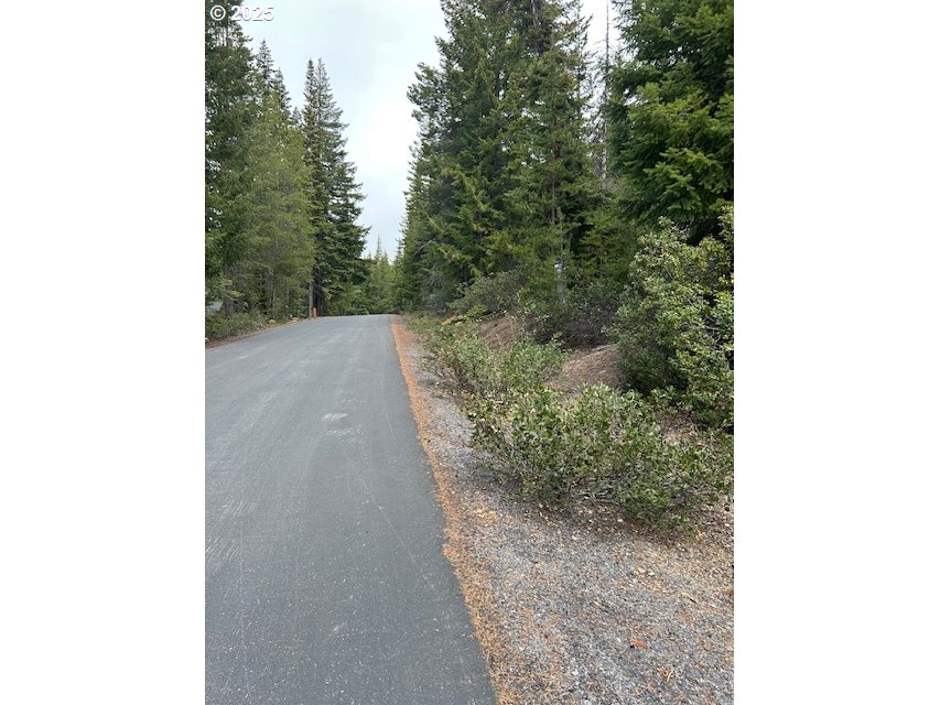 4 Royce Pine Road Crescent Lake, OR 97733 - Photo 12 of 12 a view of a yard with trees