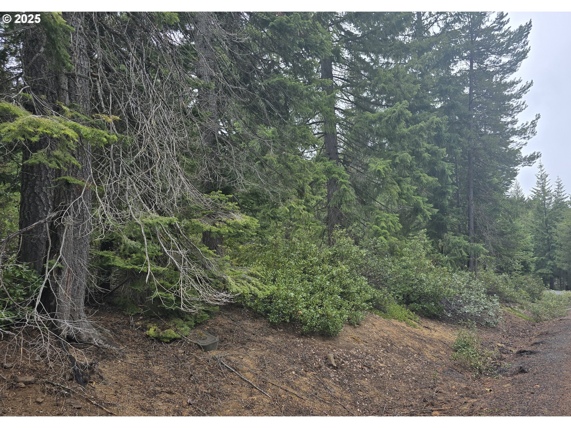 4 Royce Pine Road Crescent Lake, OR 97733 - Photo 2 of 12 a view of a yard in a forest
