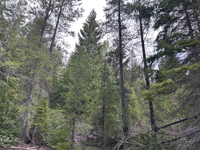 4 Royce Pine Road Crescent Lake, OR 97733 - Photo 6 of 12 a view of forest