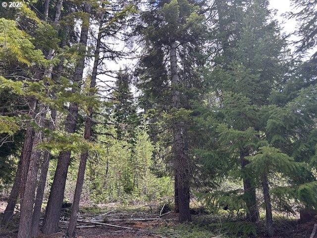 4 Royce Pine Road Crescent Lake, OR 97733 - Photo 7 of 12 a view of forest