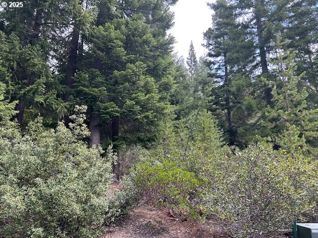 4 Royce Pine Road Crescent Lake, OR 97733 - Photo 10 of 12