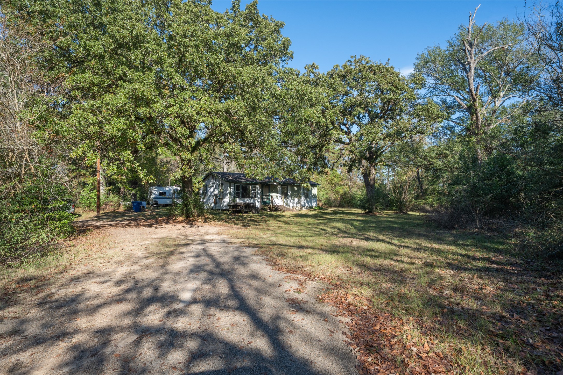 a view of a yard with plants and trees