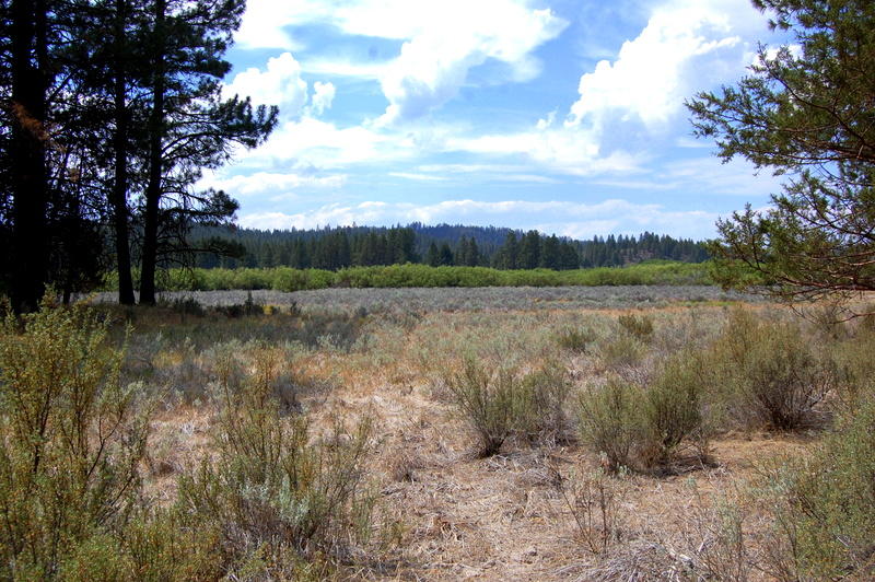 1900 Sprague River Road Chiloquin, OR 97624 - Photo 3 of 17 DSC_2200