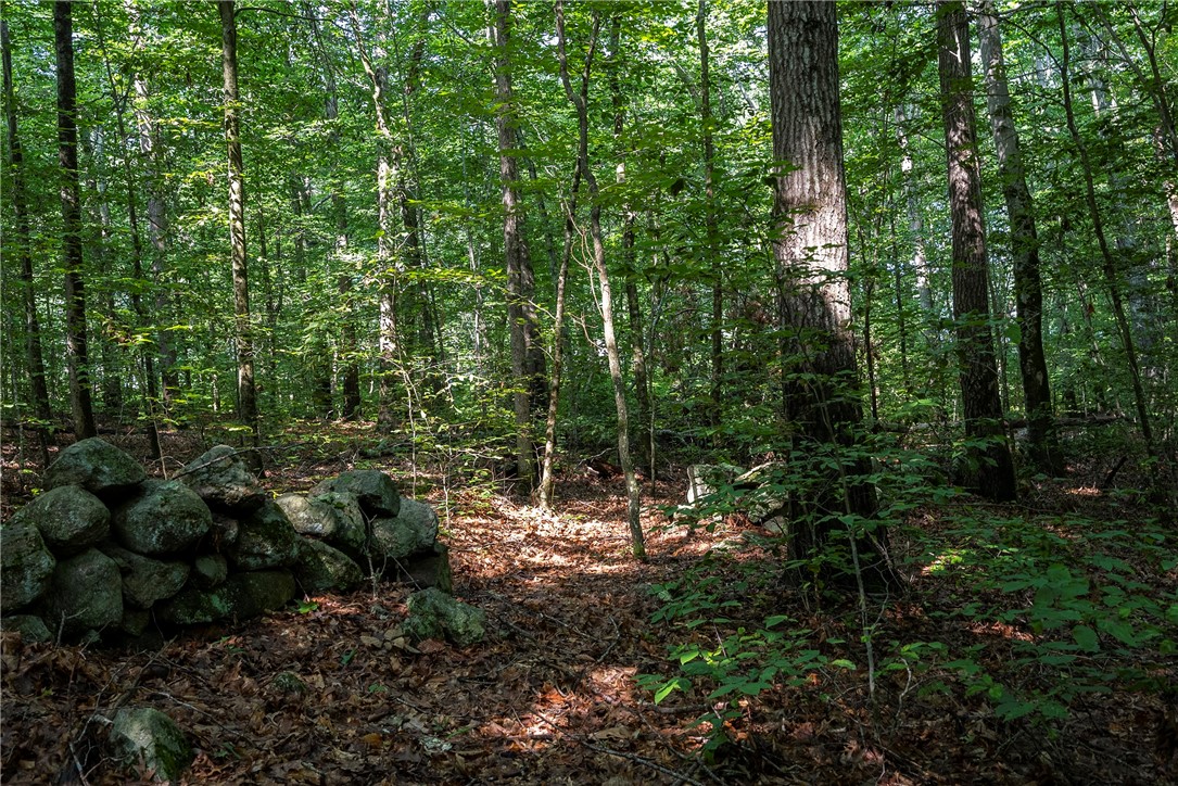 0 East Shore Drive Exeter, RI 02822 - Photo 13 of 18