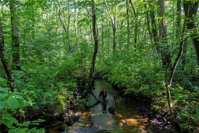 $315,000 | 0 East Shore Drive, Exeter, RI 02822