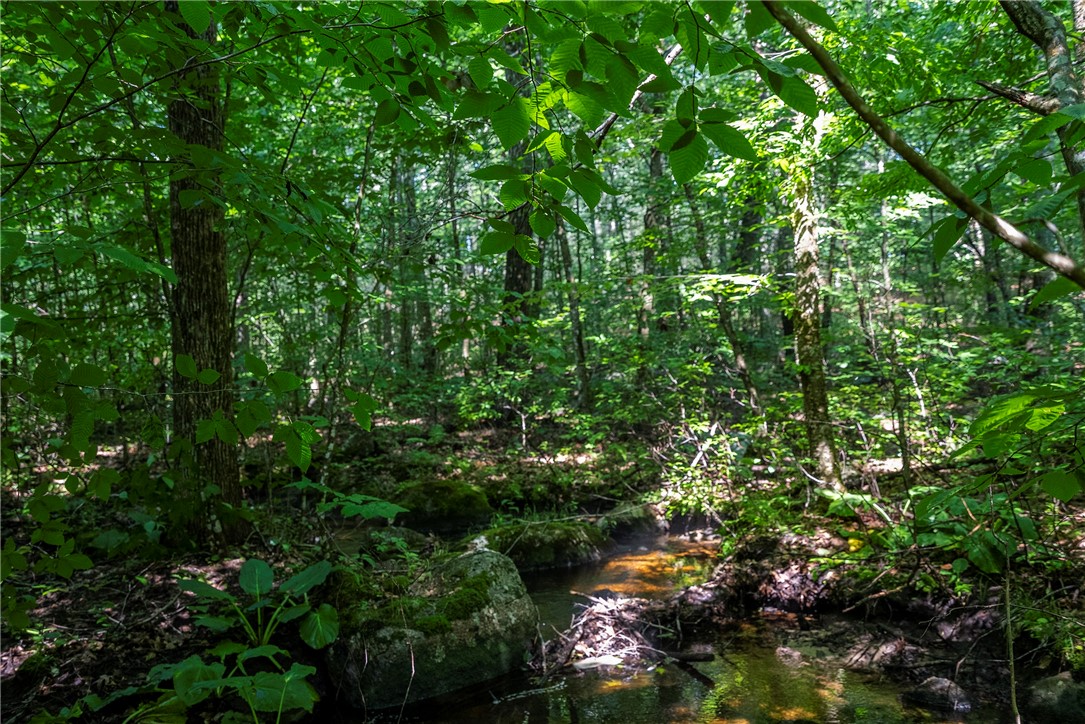 0 East Shore Drive Exeter, RI 02822 - Photo 16 of 18