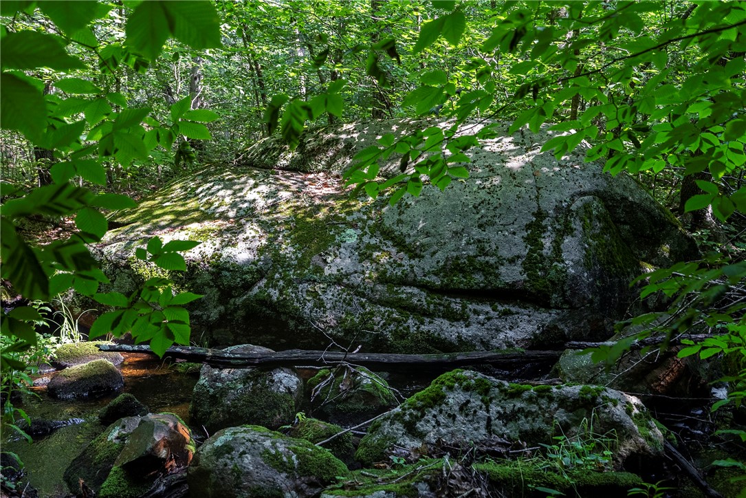 0 East Shore Drive Exeter, RI 02822 - Photo 17 of 18