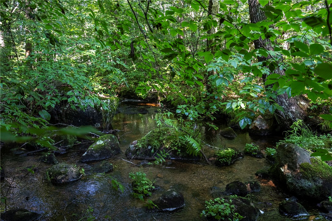 0 East Shore Drive Exeter, RI 02822 - Photo 18 of 18