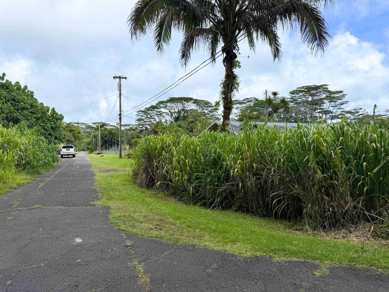 14-3276 Pualaa Road Pahoa, HI 96778 - Photo 8 of 8 a view of a yard and palm trees