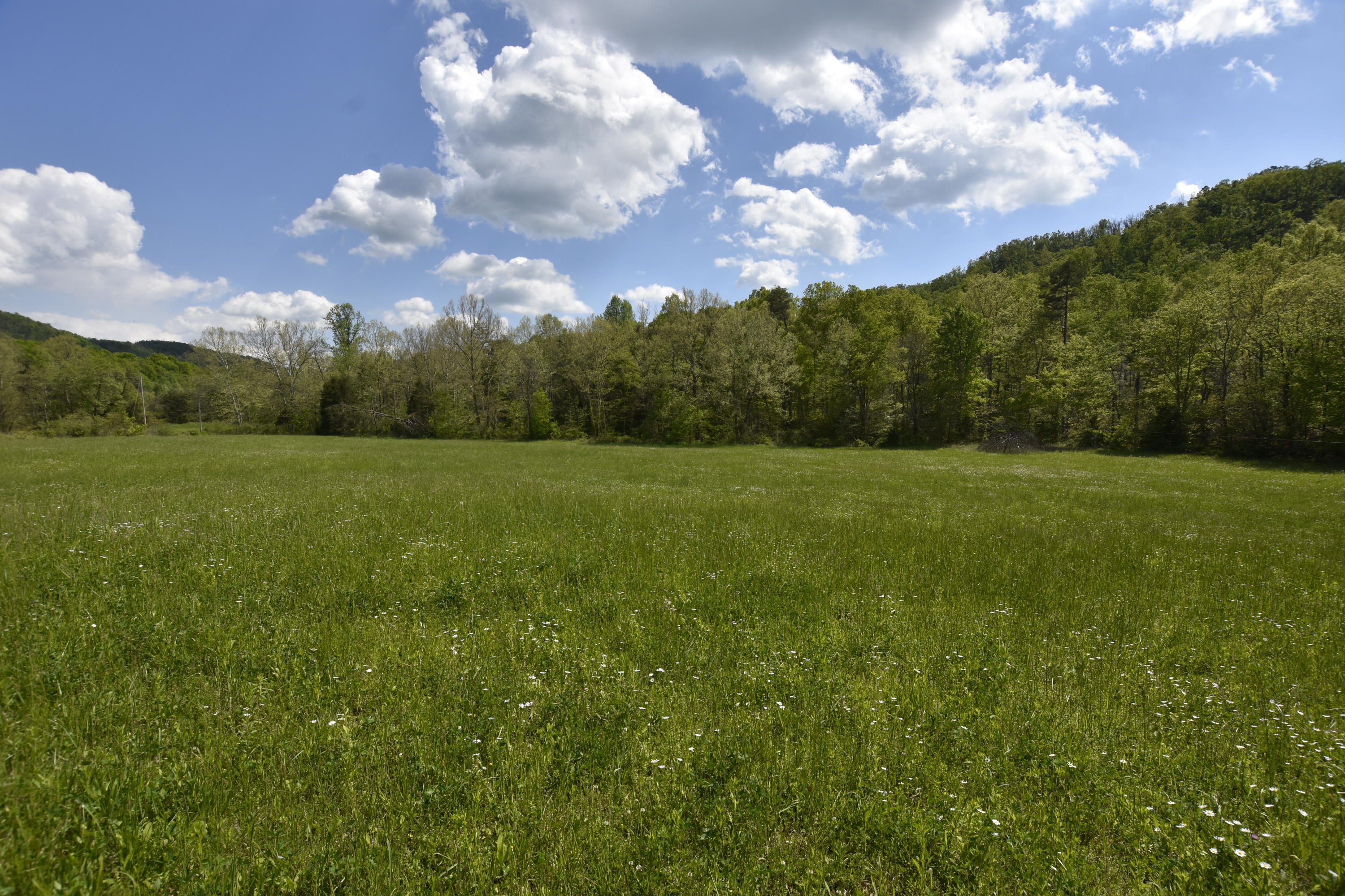 2771 Little Rock Road Irvine, KY 40336 - Photo 13 of 35 1 acre per one home!