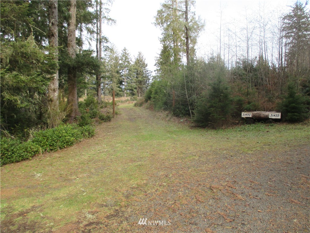 31450 Sandridge Road Oysterville, WA 98641 - Photo 1 of 8 Gallery Image 1