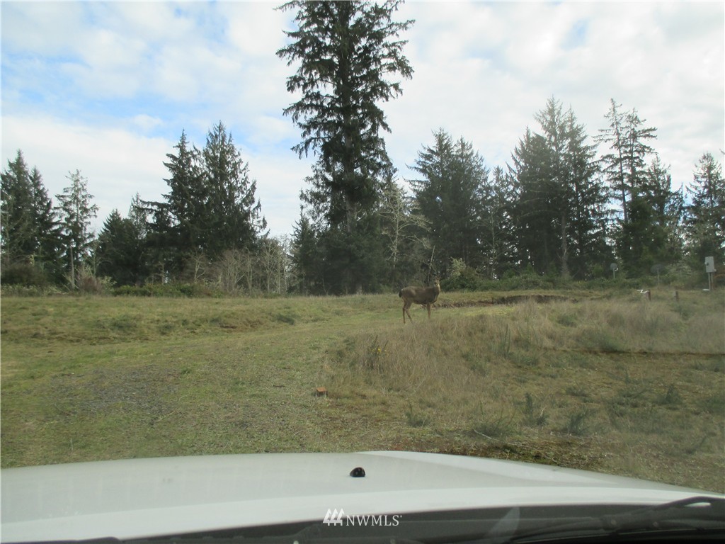 31450 Sandridge Road Oysterville, WA 98641 - Photo 2 of 8 Gallery Image 2