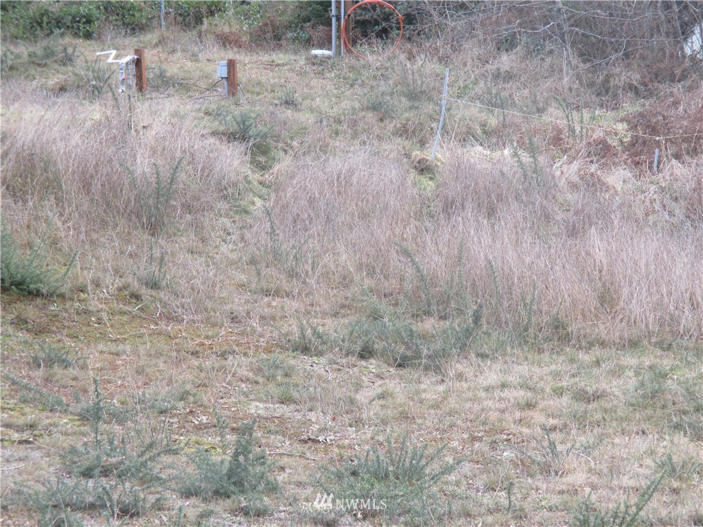 31450 Sandridge Road Oysterville, WA 98641 - Photo 4 of 8 Gallery Image 4