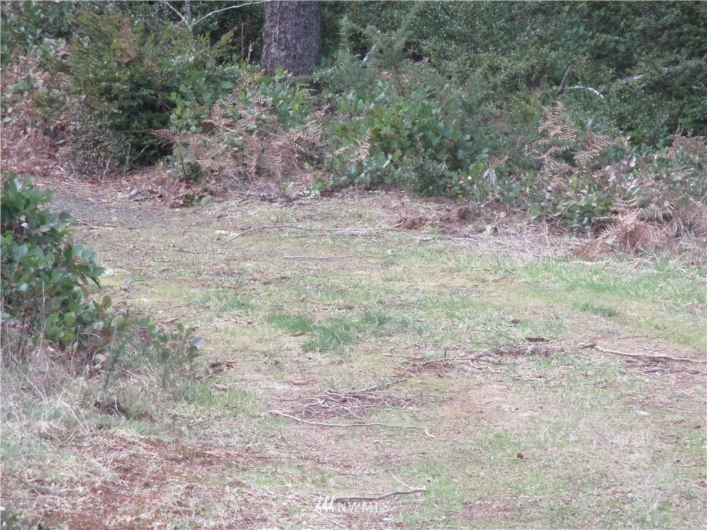 31450 Sandridge Road Oysterville, WA 98641 - Photo 6 of 8 Gallery Image 6