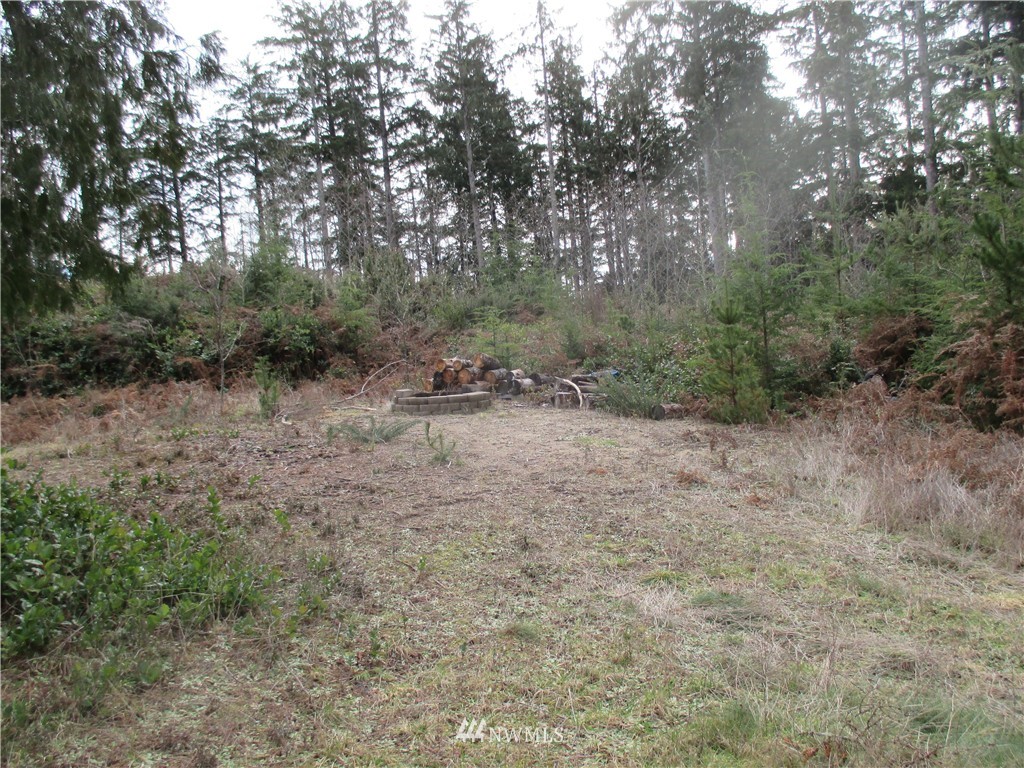 31450 Sandridge Road Oysterville, WA 98641 - Photo 8 of 8 Gallery Image 8