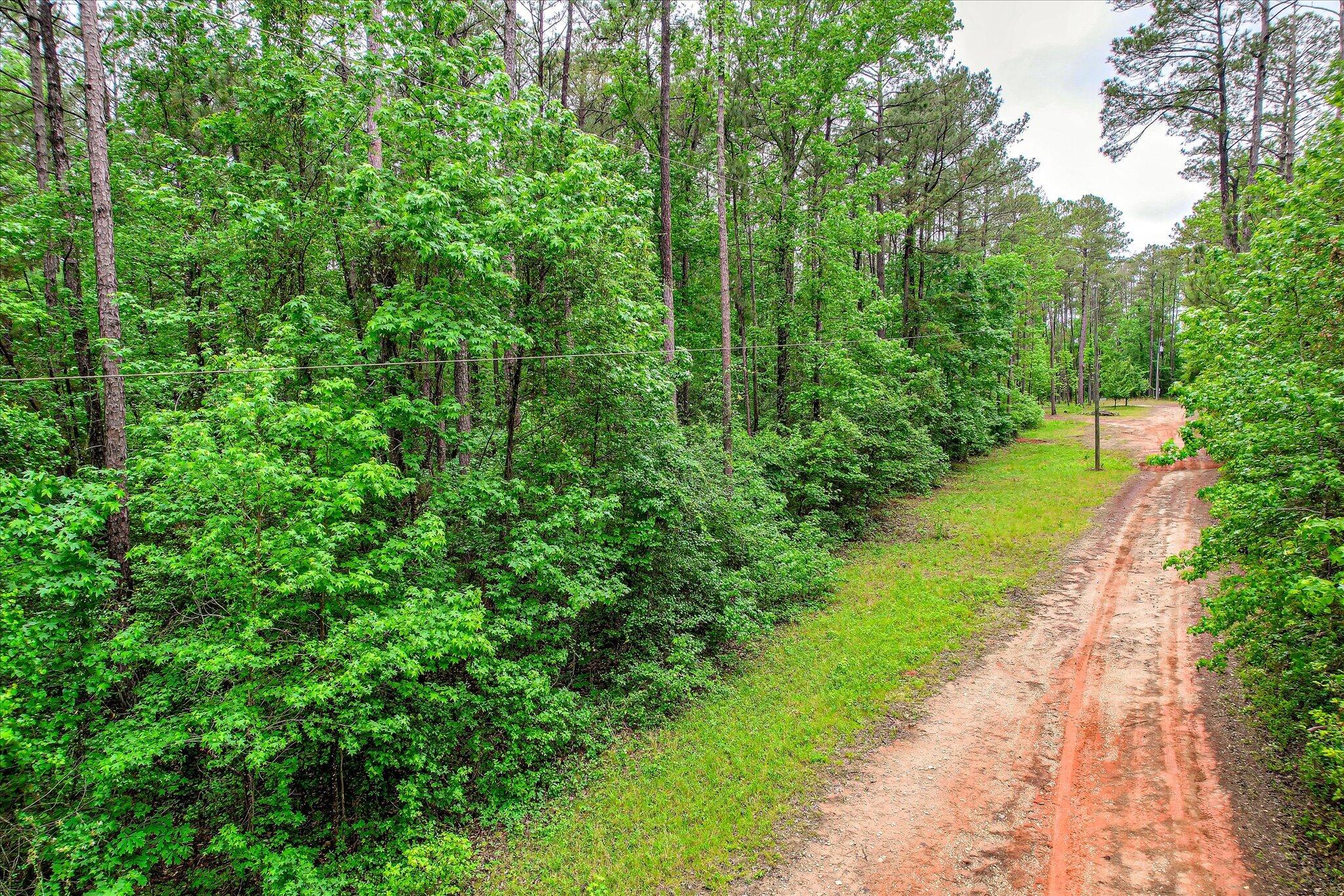 1622 Hinton Wilson Road Harlem, GA 30814 - Photo 4 of 16 13-113