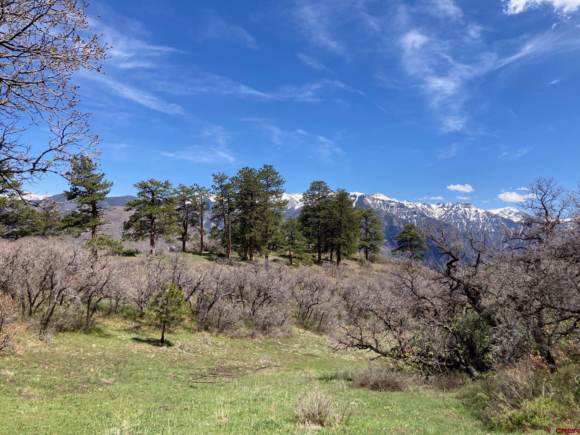1600-2 Parcels) Elk Ridge Trail, Unit PARK ESTATES LOTS 4 AND 9 Ridgway, CO 81432 - Photo 36 of 40