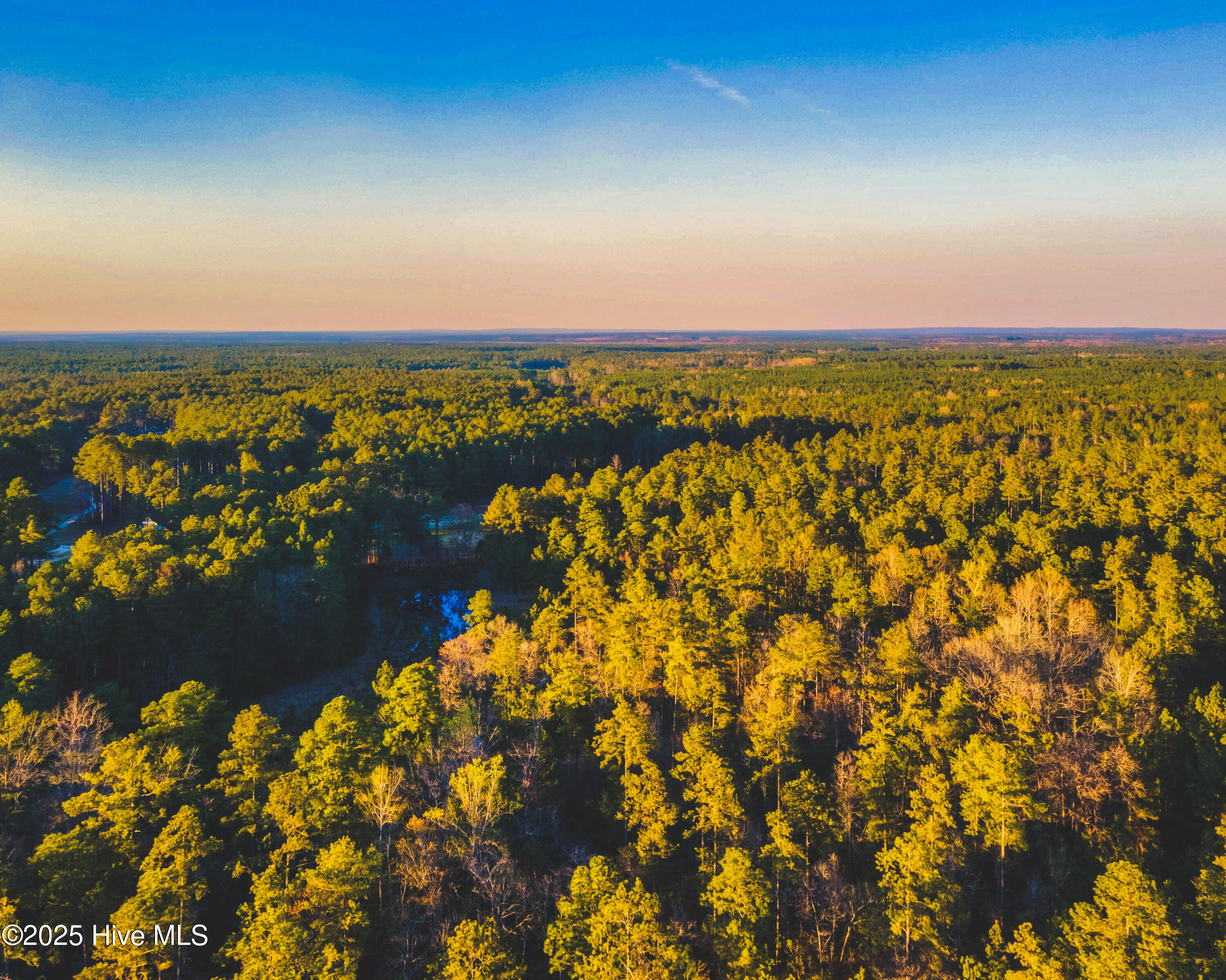 9 Peach Orchard Road Wagram, NC 28396 - Photo 3 of 5 DJI_0799-HDR-Pano