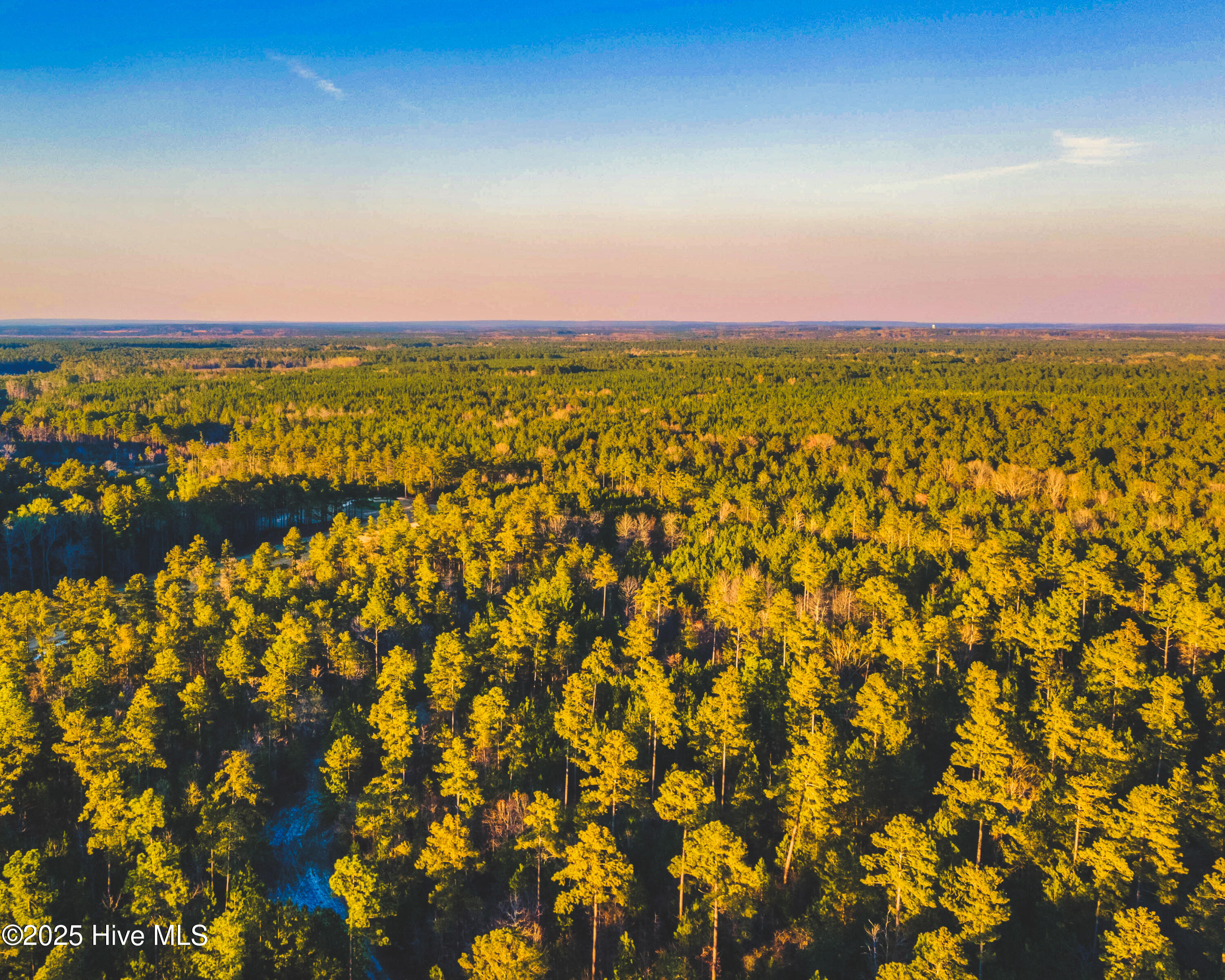 9 Peach Orchard Road Wagram, NC 28396 - Photo 4 of 5 DJI_0808-HDR-Pano