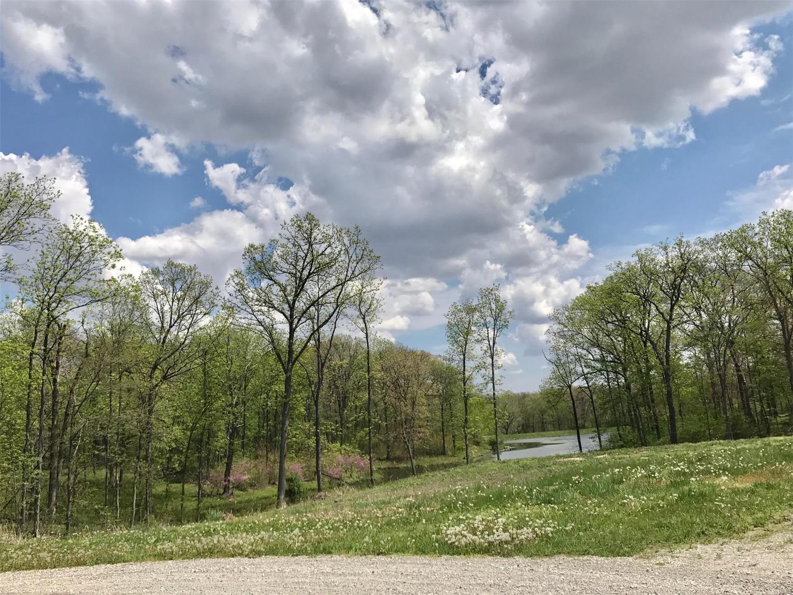7 Day Spring Litchfield, IL 62056 - Photo 1 of 4
