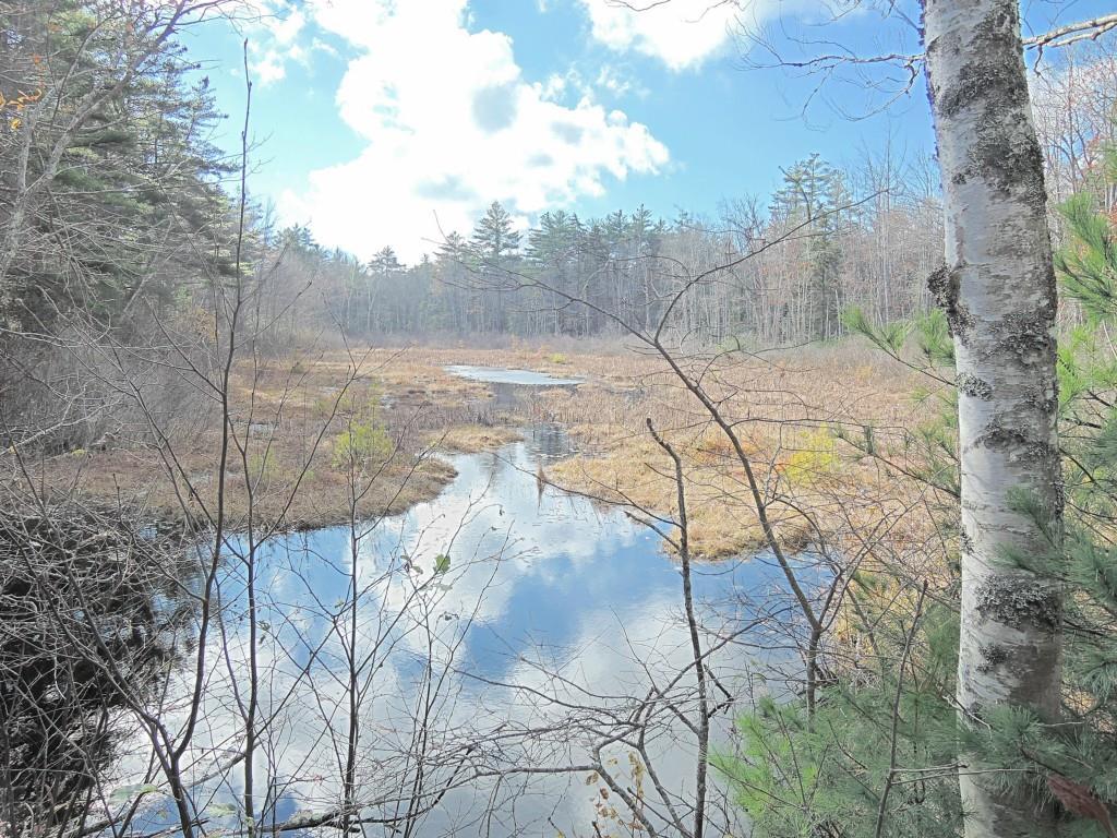 119 Merry Island Road Edgecomb, ME 04556 - Photo 16 of 16 Photo
