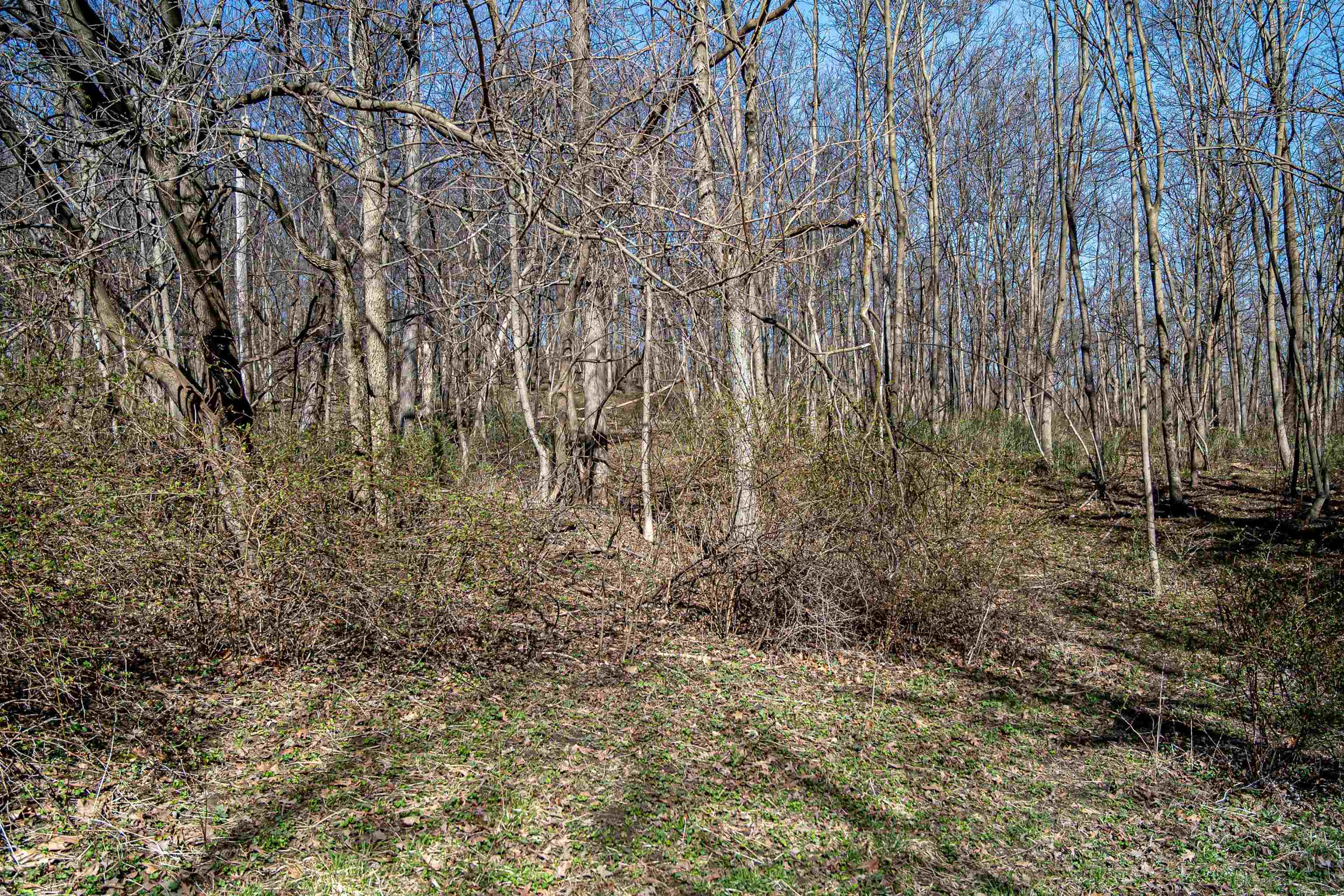 0 South Flint Road Pearl City, IL 61062 - Photo 16 of 42