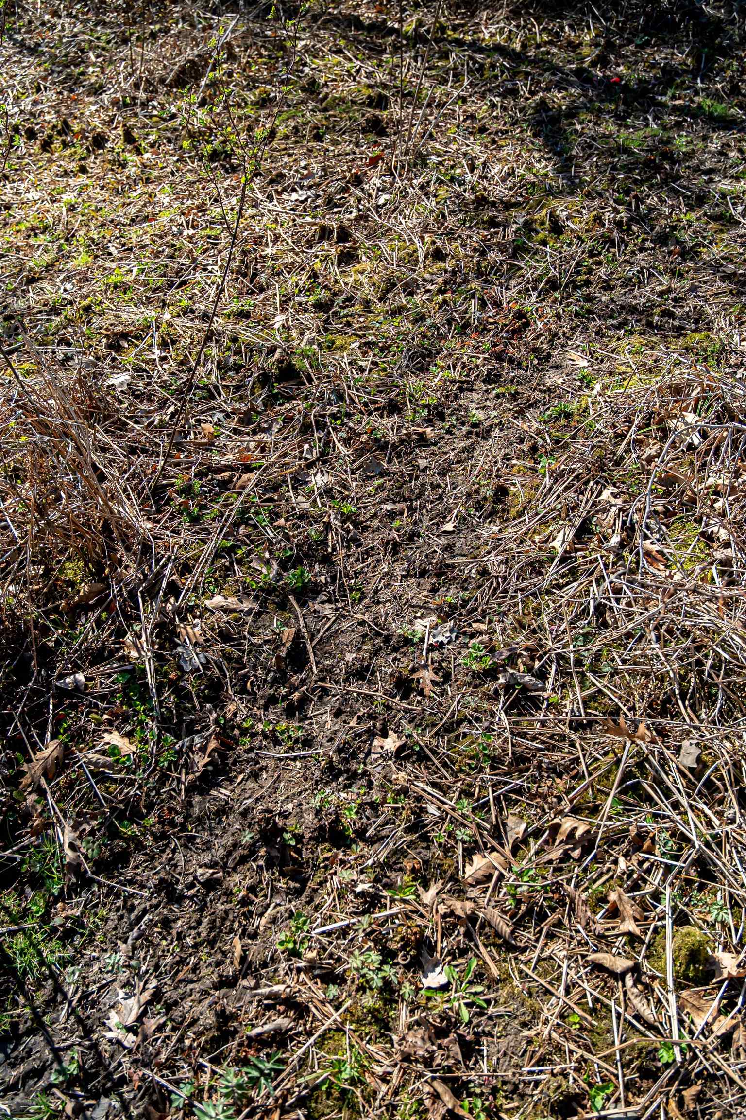 0 South Flint Road Pearl City, IL 61062 - Photo 17 of 42 a view of a field