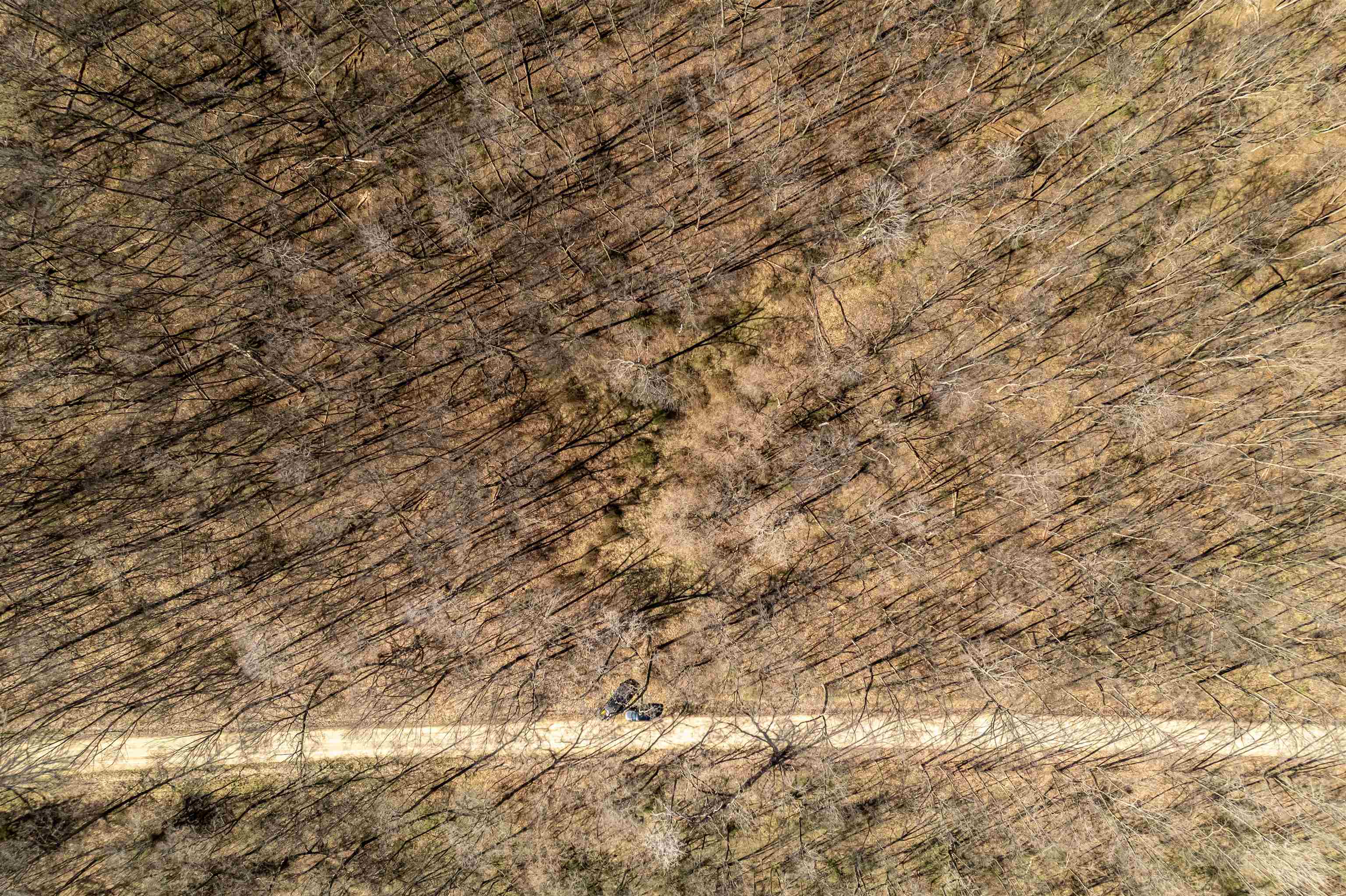 0 South Flint Road Pearl City, IL 61062 - Photo 31 of 42 a view of a field