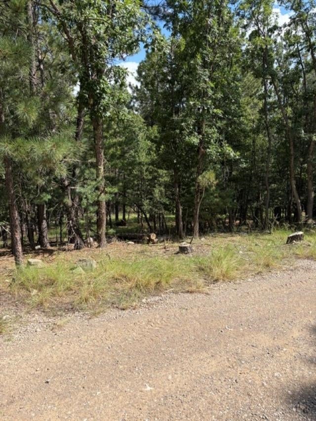 Lariat Road Mayhill, NM 88339 - Photo 5 of 6 Gallery Image 5
