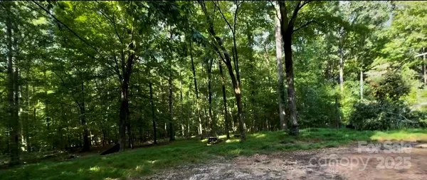 a view of backyard with green space
