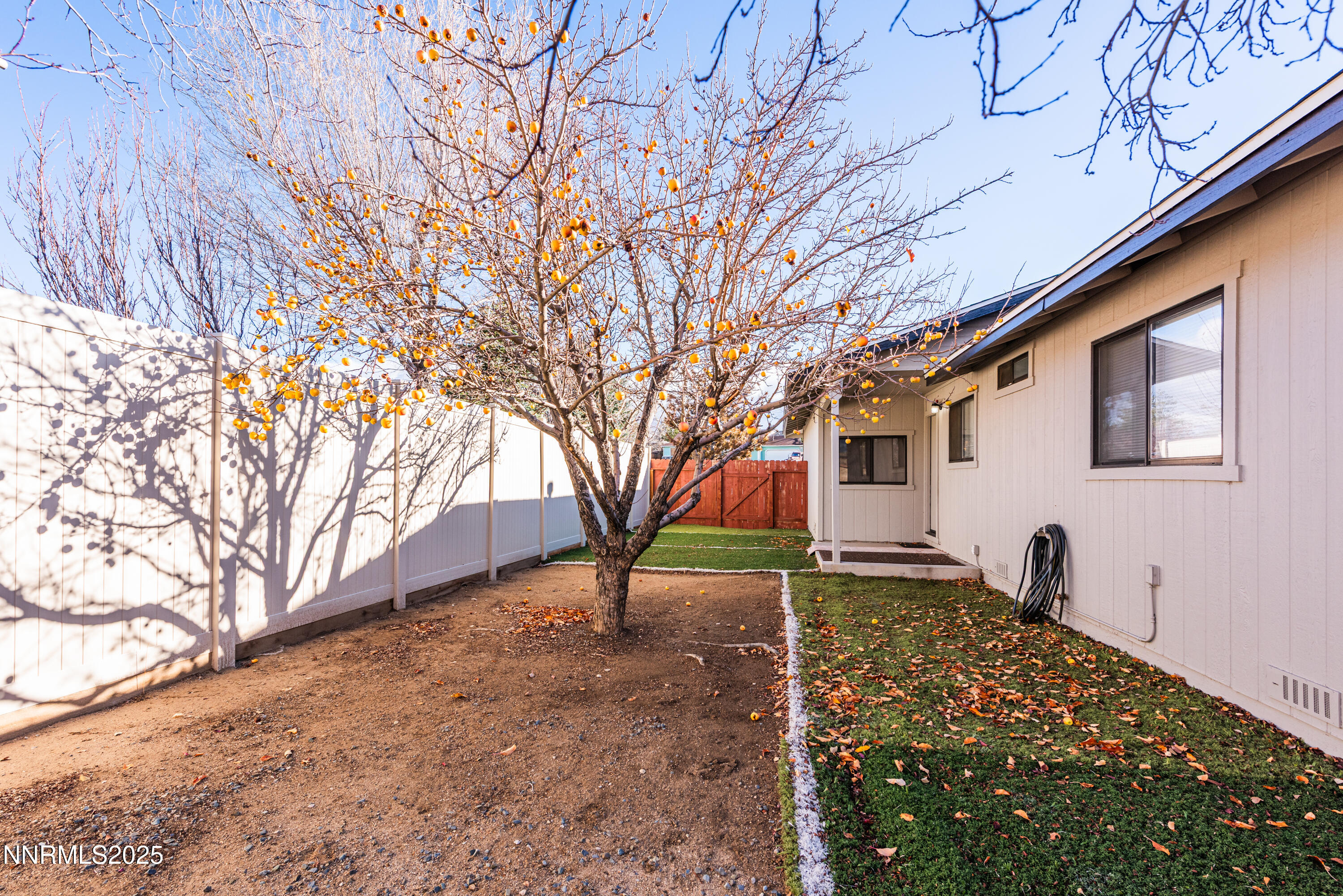3532 Haystack Drive Carson City, NV 89705 - Photo 7 of 34 a backyard of a house with shaded area