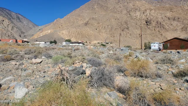 a view of a dry yard with trees