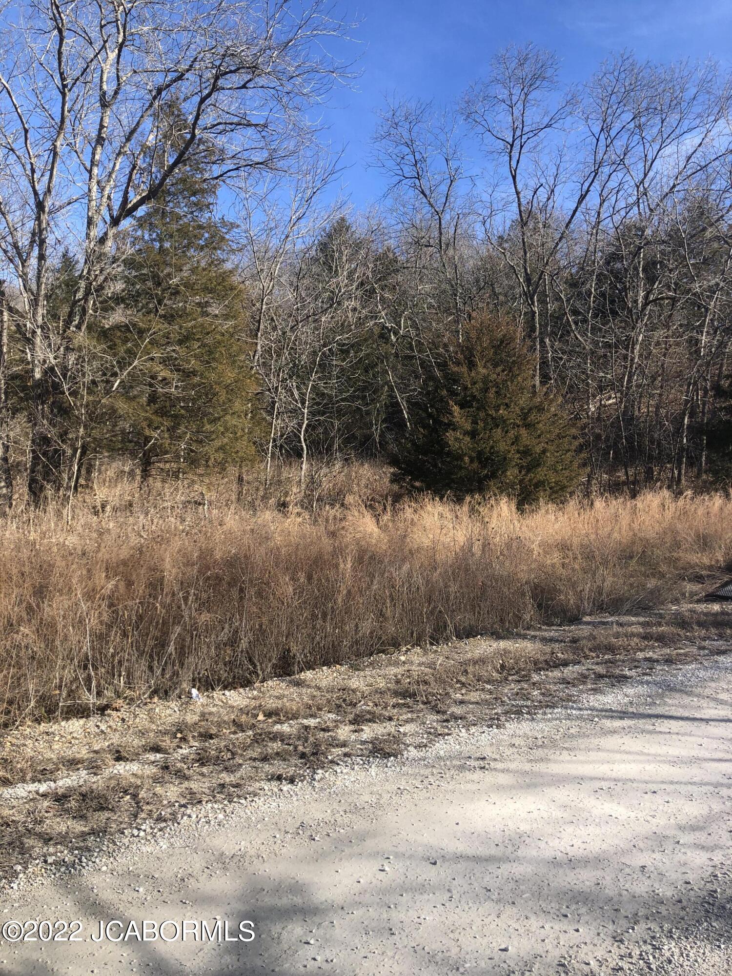 Tbd Broads Branch Road Macks Creek, MO 65786 - Photo 1 of 18