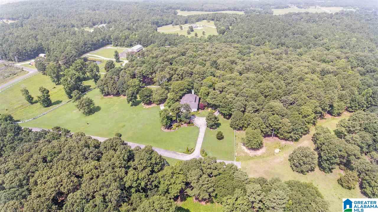 5315 Mays Bend Road Pell City, AL 35128 - Photo 49 of 50