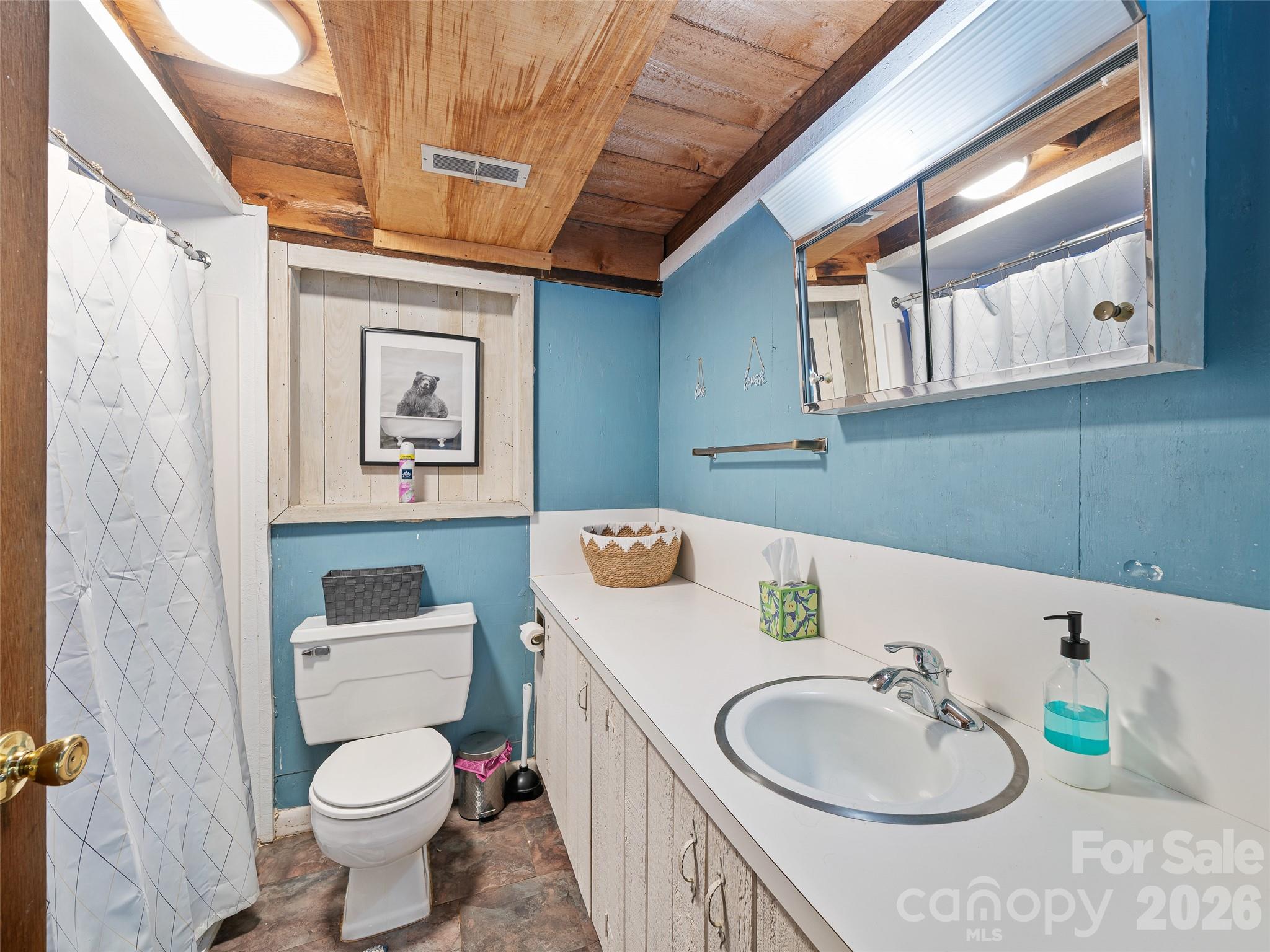 137 Mountain Farm Road Burnsville, NC 28714 - Photo 14 of 30