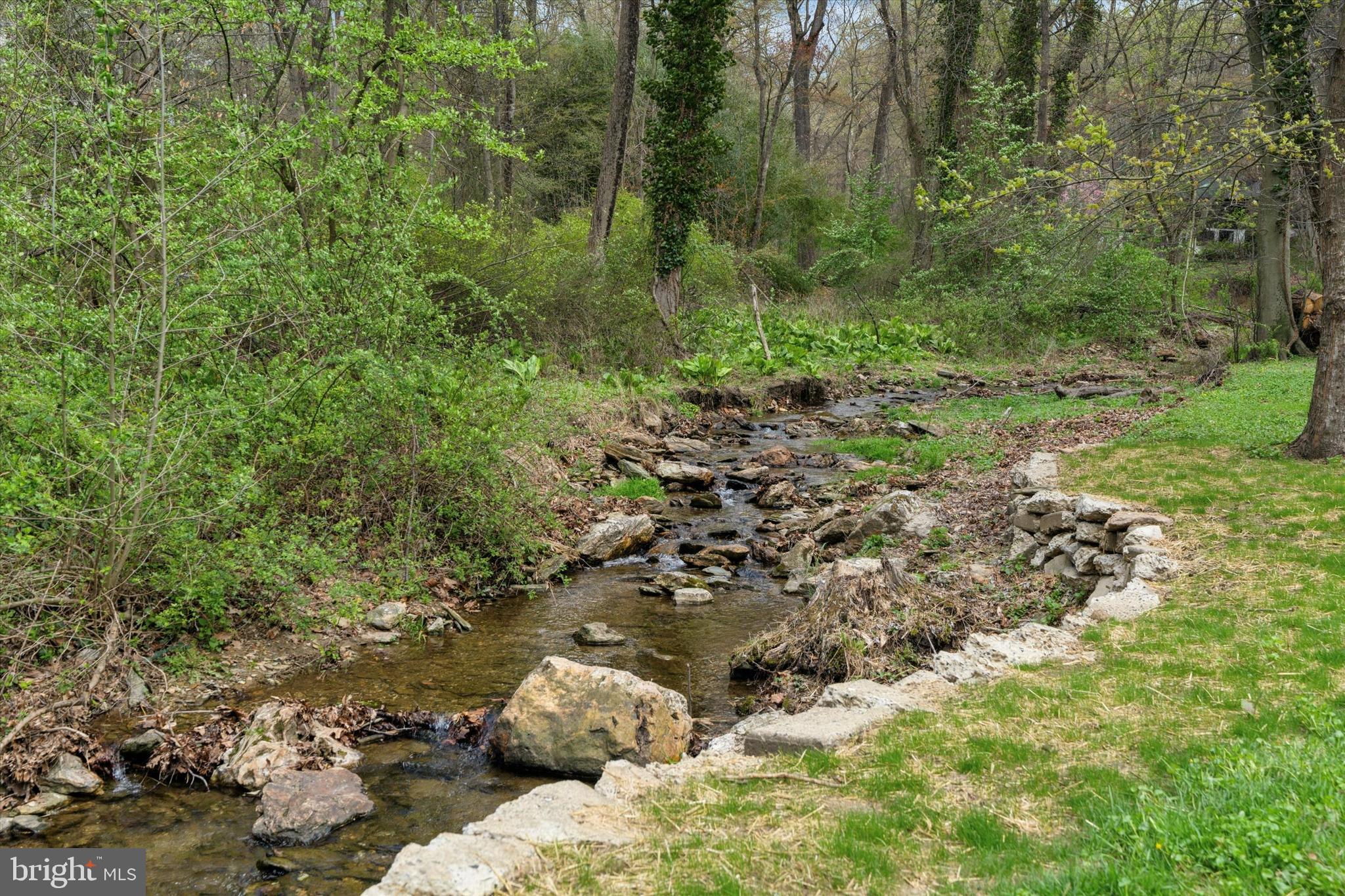 78 Peddrick Road Wayne, PA 19087 - Photo 39 of 47 a view of a forest with a tree