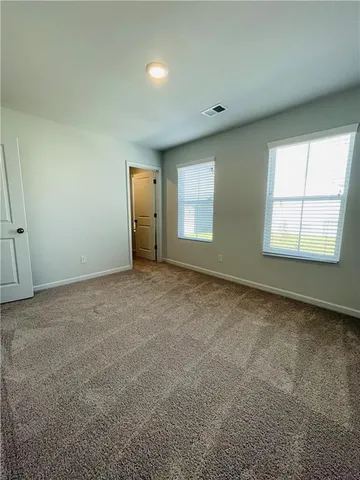 a view of a backyard with plants and large tree