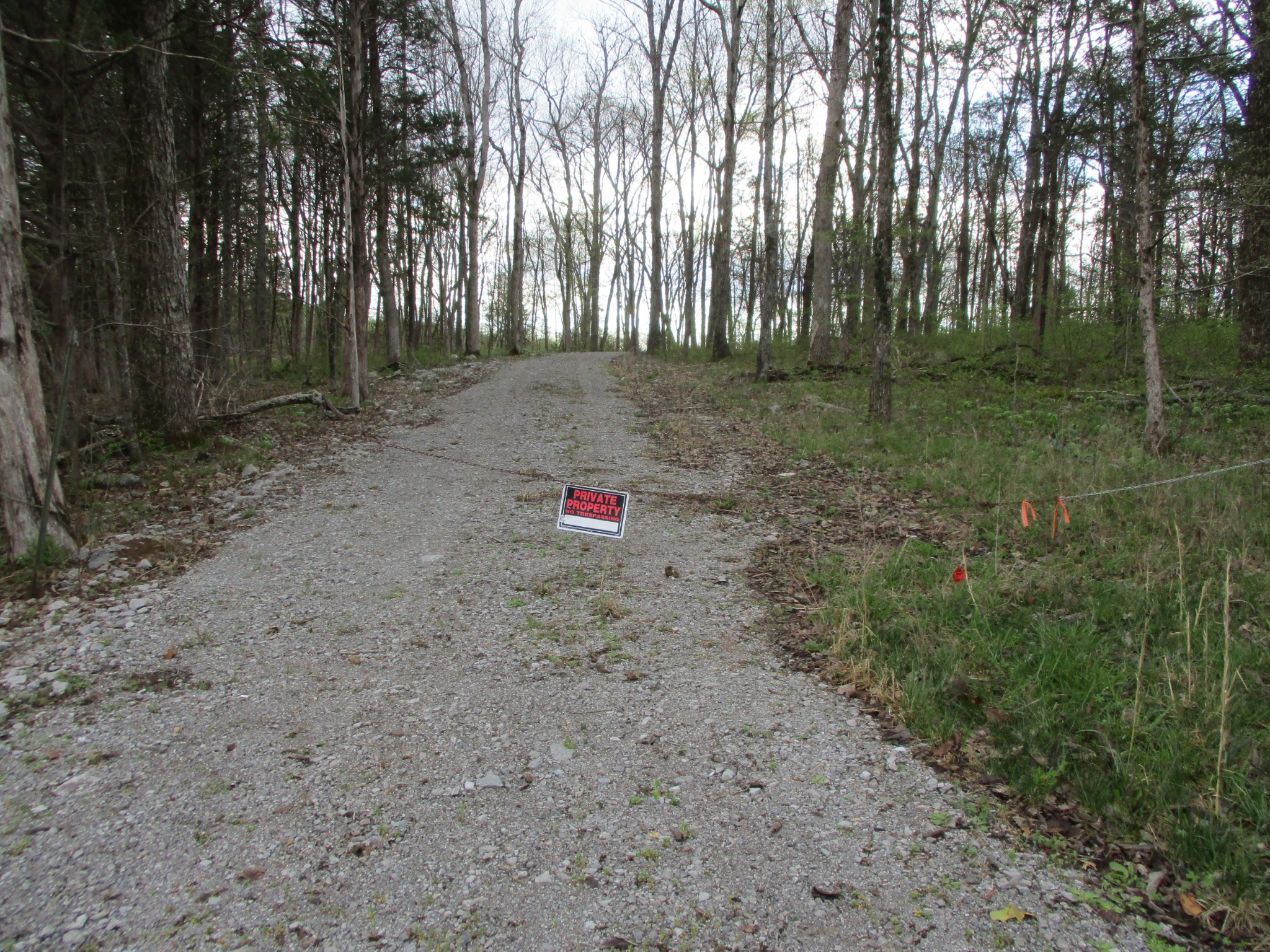 1415 Walnut Hill Road Lebanon, TN 37090 - Photo 1 of 11 a backyard of a house with lots of green space and trees