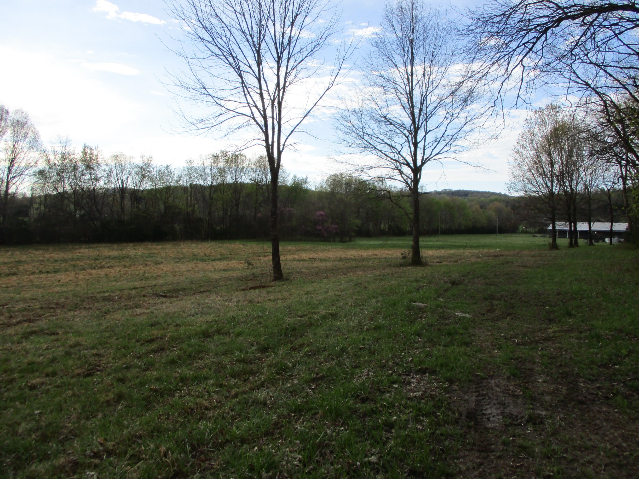 1415 Walnut Hill Road Lebanon, TN 37090 - Photo 11 of 11 a view of outdoor space with deck and trees
