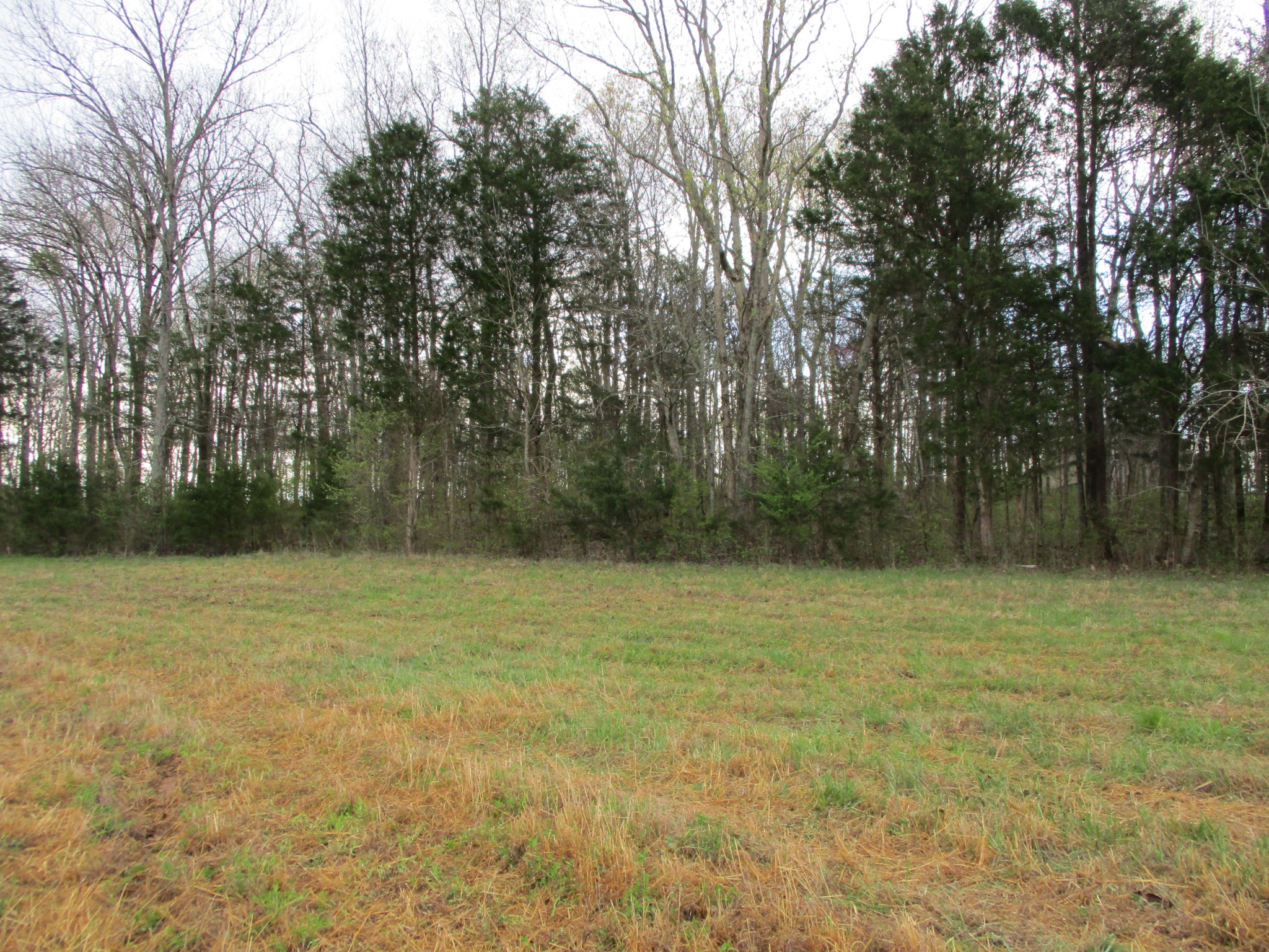 1415 Walnut Hill Road Lebanon, TN 37090 - Photo 3 of 11 a view of outdoor space with yard
